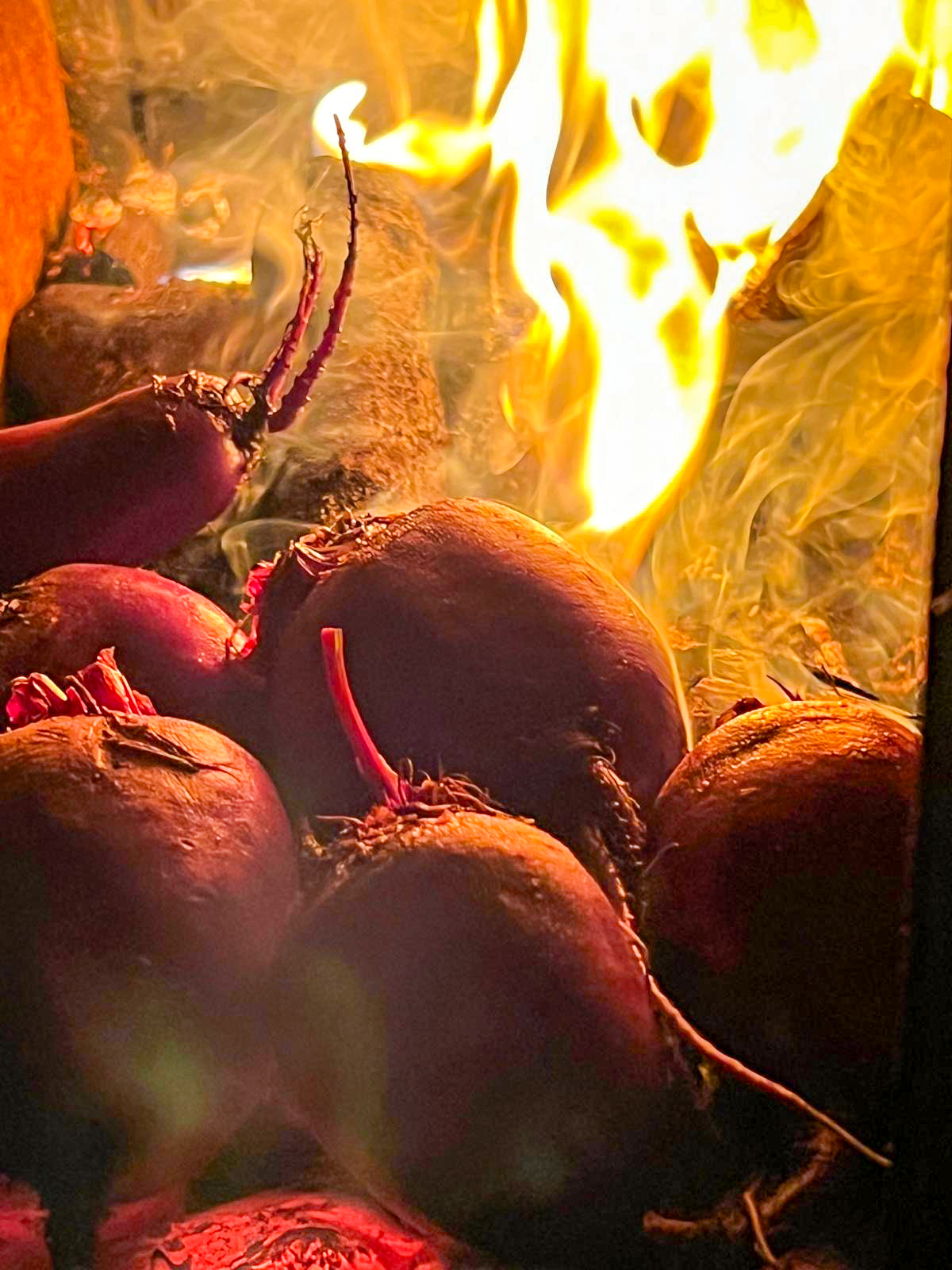 Remolatxa a la brasa amb Tzatziki de fonoll